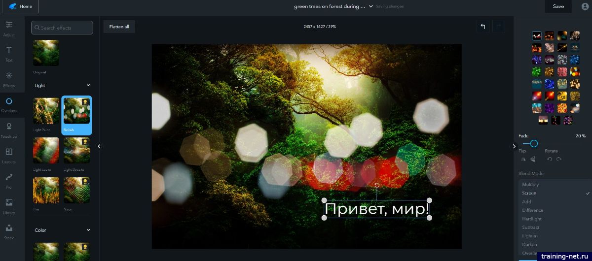 Ribbet - онлайн редактор изображений с бесплатным функционалом